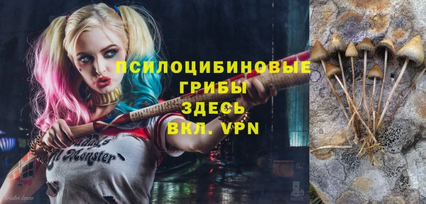 МДПВ Пестово
